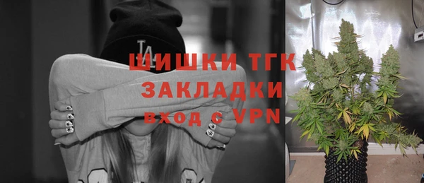 гидра Белокуриха