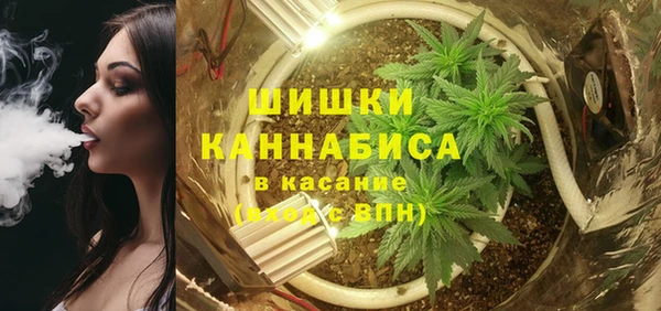 гидра Белокуриха