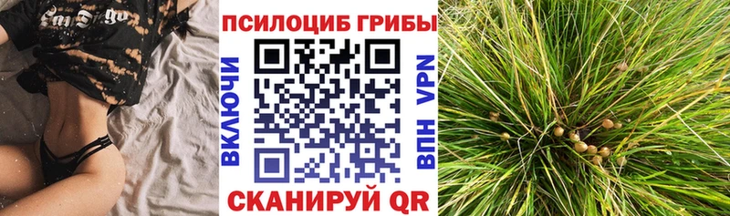 Галлюциногенные грибы мухоморы Белая Калитва